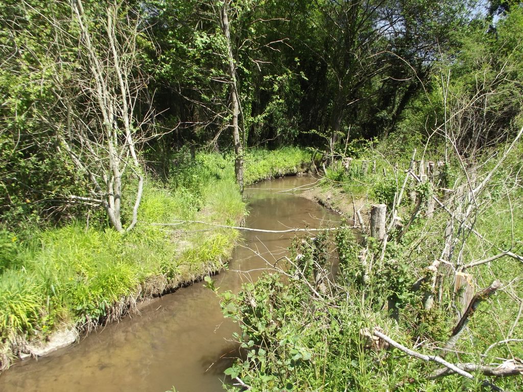 Etude HMUC sur le bassin de l’Argance