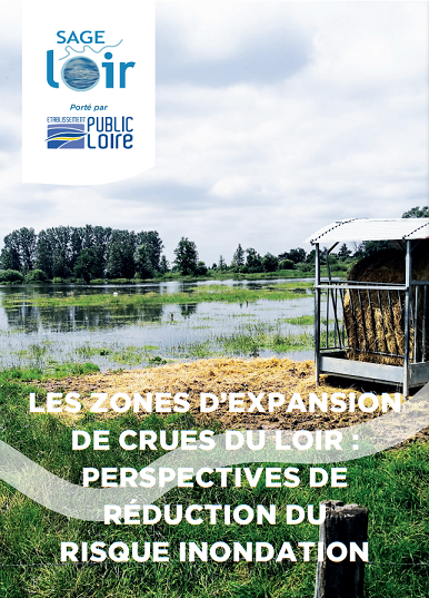 Etude sur les zones d’expansion de crues : perspectives de réduction du risque inondation