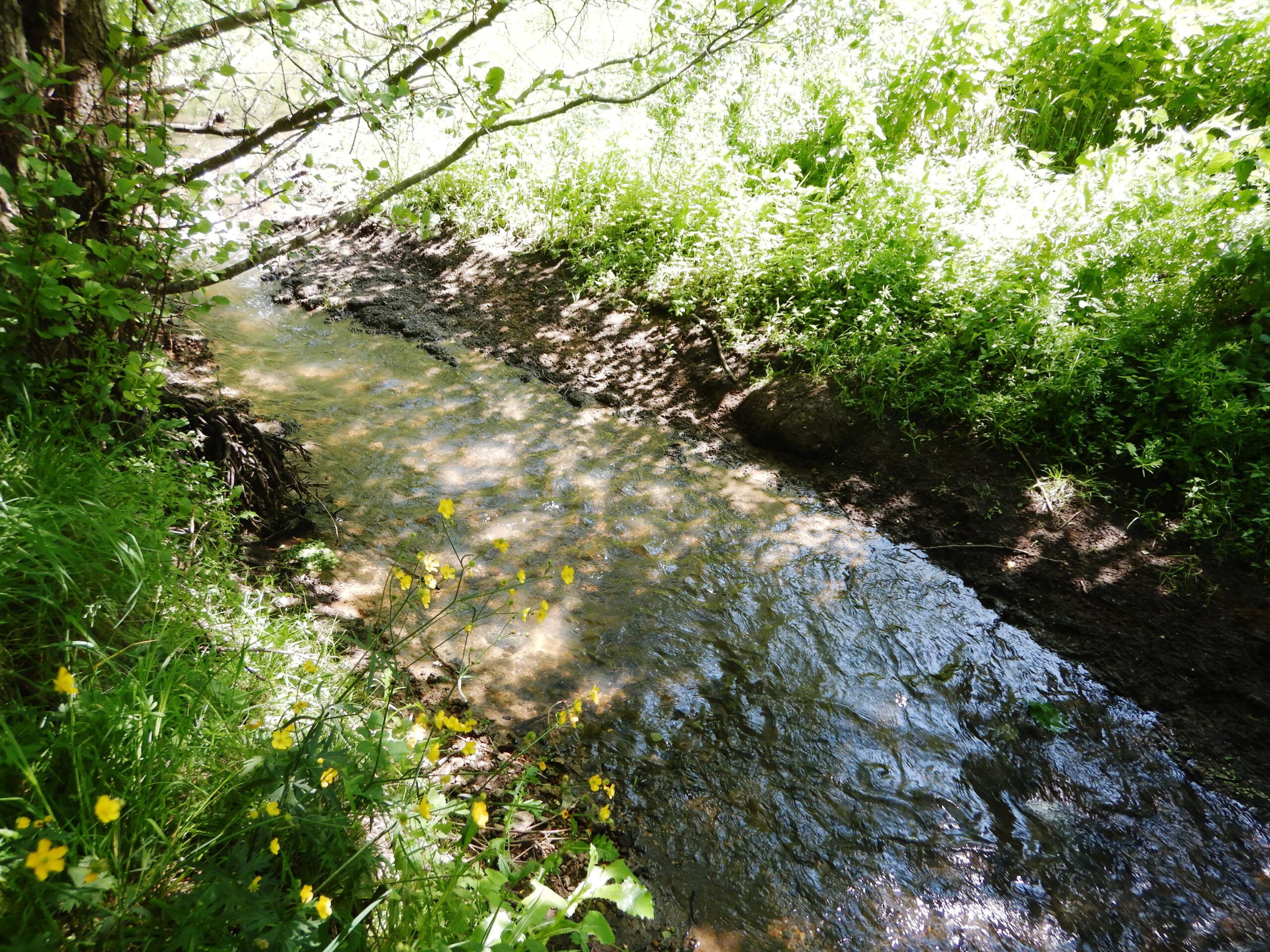 Etude HMUC sur le bassin de l’Argance